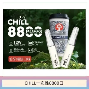 10種口味｜鴨嘴獸CHILL 8800口一次性電子菸 8ml大容量煙油