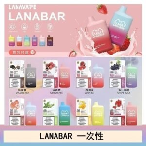 LANA BAR可充电一次性電子煙霧化5000口(3.0%)
