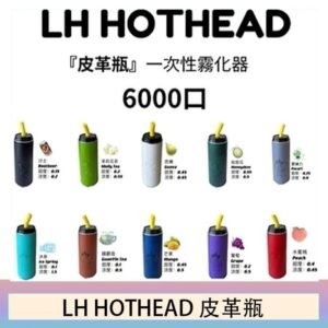 LH HOTHEAD皮革瓶電子煙可充電6000口一次性